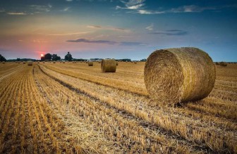 我國(guó)生物天然氣成本還能降嗎？