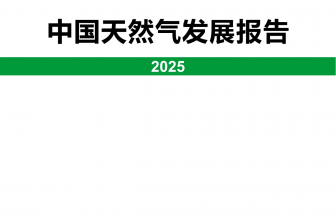 中國(guó)天然氣發(fā)展報(bào)告（2025）